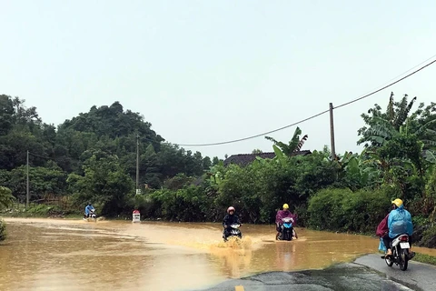 Quốc lộ 4A, đoạn qua xã Thái Cường, huyện Thạch An bị ngập úng gây ách tắc giao thông. (Ảnh: Quốc Đạt/TTXVN)