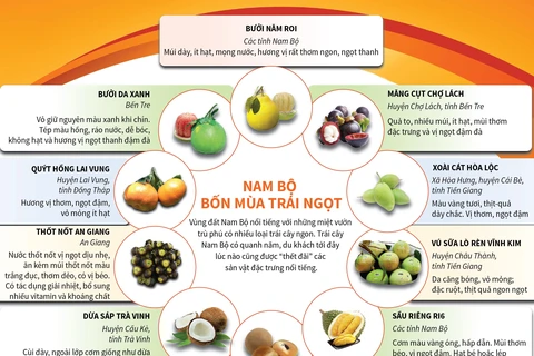 [Infographics] Những loại trái cây đặc sản của Nam Bộ