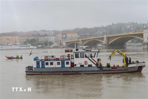 Lực lượng cứu hộ tìm kiếm nạn nhân trong vụ tai nạn tàu trên sông Danube, Budapest, Hungary, ngày 30/5/2019. (Ảnh: THX/ TTXVN)
