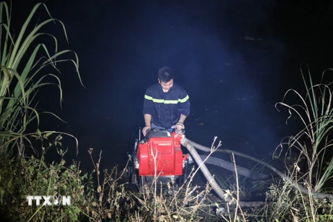 Khoảng 18 giờ ngày 28/6, người dân địa phương phát hiện đám cháy bùng phát tại rừng đặc dụng trên núi Vụng Quao, thôn Tràng An, xã Trường Yên, huyện Hoa Lư, tỉnh Ninh Bình.(Ảnh: Ninh Đức Phương/TTXVN)