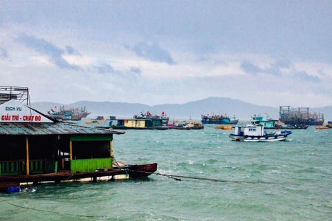 Tại đảo Cô Tô, hơn 500 tàu thuyền đang neo đậu. (Ảnh: TTXVN phát)