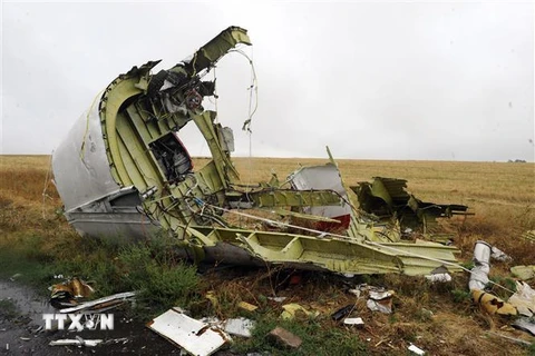 Xác máy bay MH17 tại hiện trường vụ tai nạn ở Grabove, miền đông Ukraine ngày 11/11/2014. (Ảnh: AFP/TTXVN)