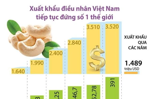 Xuất khẩu điều nhân Việt Nam tiếp tục đứng số 1 thế giới