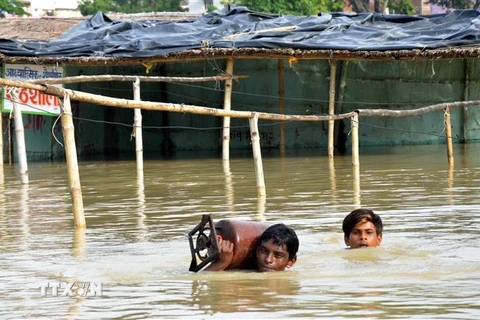 Cảnh ngập lụt tại Bihar, Ấn Độ ngày 17/7/2019. (Ảnh: THX/TTXVN)