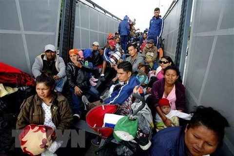 Người di cư Trung Mỹ trên xe tải ở tuyến đường cao tốc Guadalajara-Nayarit, bang Jalisco, Mexico, trong hành trình tới Mỹ ngày 12/11/2018. (Nguồn: AFP/TTXVN)