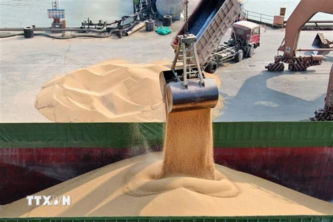 Bốc dỡ đậu tương nhập khẩu tại cảng Nam Thông, tỉnh Giang Tô, Trung Quốc. (Ảnh: AFP/TTXVN)