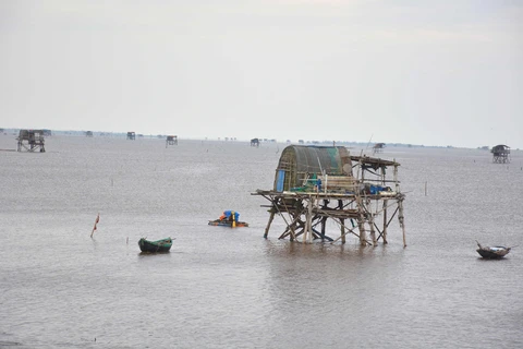 Chính quyền huyện Giao Thủy đang tích cực vận động người nuôi ngao tại các chòi ven biển khẩn trương vào bờ. (Ảnh: Công Luật/TTXVN)