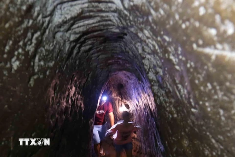 Đường hầm cấu trúc hình vòm có kích thước 0.9m x 1.75m. (Ảnh: Nhật Anh/TTXVN)