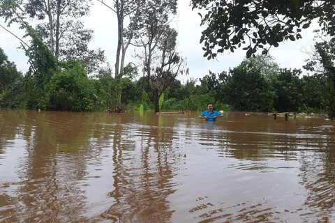 Nhiều khu vực tại xã Nam Cát Tiên (huyện Tân Phú) ngập sâu trong nước. (Ảnh: Sỹ Tuyên/TTXVN)