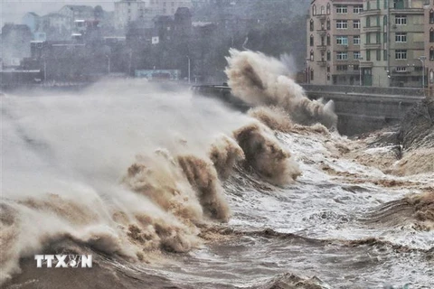 Sóng lớn do ảnh hưởng của bão Lekima ở ven biển thành phố Thái Châu, tỉnh Chiết Giang, Trung Quốc ngày 9/8/2019. (Ảnh: AFP/TTXVN)