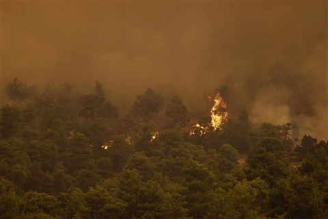[Video] Cận cảnh Hy Lạp dùng trực thăng ngăn cháy rừng