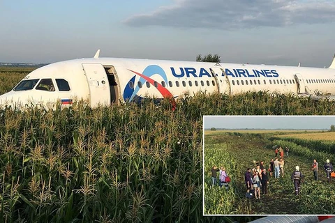 Chiếc A320 của hãng hàng không Ural Airlines phải hạ cánh xuống một cánh đồng (Nguồn: RT)