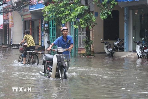 (Ảnh minh họa: Nguyễn Chinh/TTXVN)