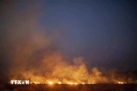 Khói lửa bốc lên ngùn ngụt từ đám cháy rừng Amazon tại Nova Santa Helena, bang Mato Grosso, Brazil ngày 23/8/2019. (Ảnh: AFP/ TTXVN)