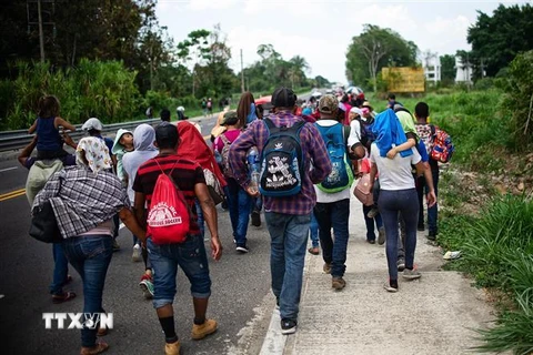 Người di cư Trung Mỹ tại Tapachula, bang Chiapas, Mexico, ngày 12/4, trong hành trình tới Mỹ. (Ảnh: AFP/TTXVN)