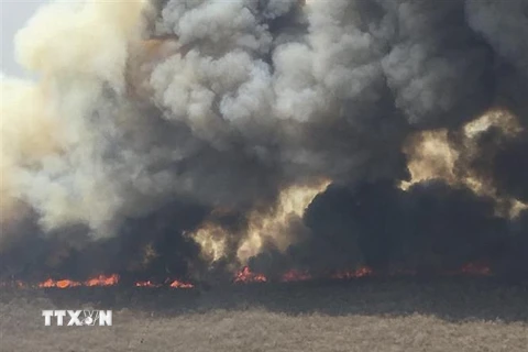 Khói bốc lên từ đám cháy rừng tại San Jose de Chiquitos ở Santa Cruz, Bolivia, ngày 9/9/2019. (Ảnh: AFP/ TTXVN)