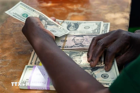 Kiểm đồng USD tại Mutoko, Zimbabwe, ngày 14/3/2019. (Ảnh: AFP/ TTXVN)