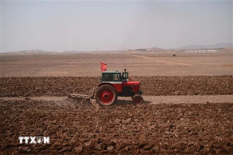 Một máy kéo được người dân Triều Tiên sử dụng trong nông nghiệp tại một địa phương nằm trên lộ trình từ Bình Nhưỡng tới tỉnh Bắc Phyongan. (Ảnh: AFP/TTXVN)