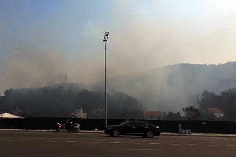 Cháy rừng đồi Hùng Thắng, thành phố Hạ Long (Quảng Ninh). (Ảnh: Văn Đức/TTXVN)