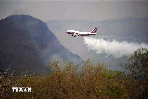 Máy bay tham gia dập lửa cháy rừng gần khu vực Robore, tỉnh Santa Cruz, miền Đông Bolivia ngày 23/8/2019. (Ảnh: AFP/TTXVN)
