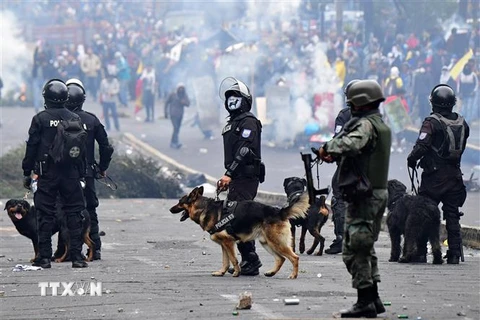 Cảnh sát được triển khai để ngăn chặn người biểu tình quá khích tại Quito, Ecuador, ngày 8/10/2019. (Ảnh: AFP/TTXVN)
