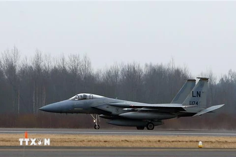 Máy bay chiến đấu F-15 của Mỹ tại căn cứ không quân ở Siauliai Zuokiniai, Litva ngày 6/3/2014. (Ảnh: AFP/TTXVN)