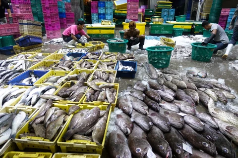 Việc miễn thuế sẽ chấm dứt đối với tất cả hàng xuất khẩu thủy sản của Thái Lan sang Mỹ. (Nguồn: Reuters)
