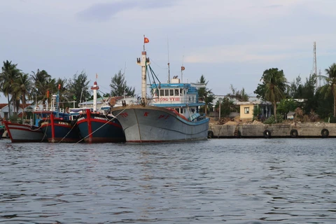 Tàu thuyền đánh bắt thủy sản của ngư dân neo đậu ở cảng để tránh trú. (Ảnh: Nguyễn Dũng/TTXVN)