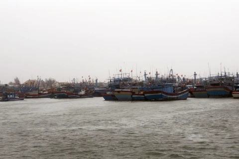 Khoảng 400 tàu thuyền đã vào neo đậu an toàn tại cảng cá Quy Nhơn vào sáng 30/10. (Ảnh: Nguyên Linh/TTXVN)