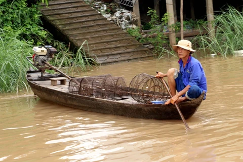 Người dân xã Vĩnh Lộc (An Phú, An Giang) tranh thủ con nước về thả lọp bắt cá. (Ảnh: Công Mạo/TTXVN)