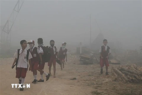 Học sinh tới trường trong điều kiện khói mù dày đặc tại Palembang, Indonesia, ngày 14/10/2019. (Ảnh: AFP/ TTXVN)