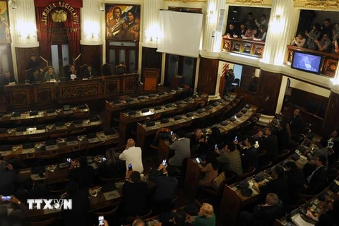 Toàn cảnh một phiên họp của Quốc hội Bolivia ở La Paz ngày 12/11/2019. (Ảnh: AFP/TTXVN)