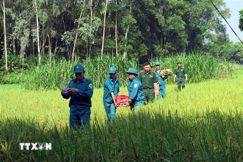 (Ảnh minh họa: Thu Hằng/TTXVN)