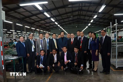 Đoàn đại biểu thăm công ty Đà Lạt Hasfarm. (Ảnh: Đặng Tuấn/TTXVN)