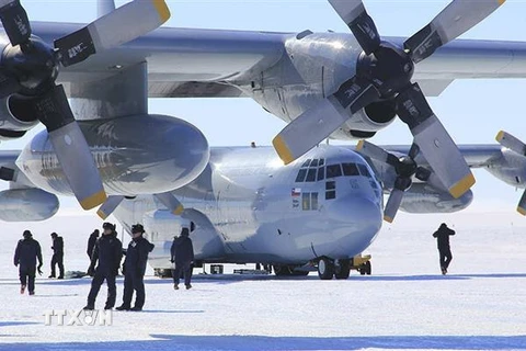 Máy bay vận tải quân sự C-130 Hercules được sử dụng cho các chuyến bay tới Nam Cực. (Ảnh: Không quân Chile/TTXVN phát)