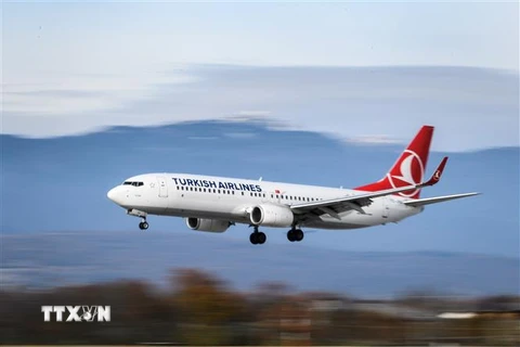 Máy bay của hãng hàng không Turkish Airlines. (Ảnh: AFP/ TTXVN)