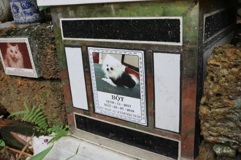 Nghĩa trang cho thú cưng, một hiện tượng mới lạ ở Việt Nam