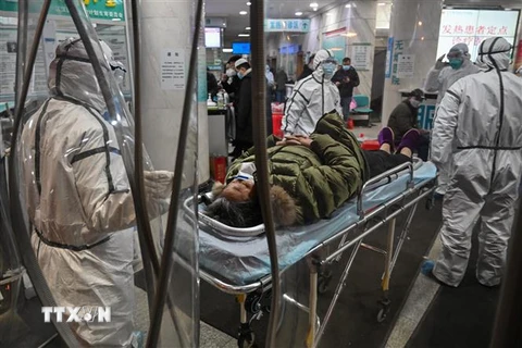 Nhân viên y tế chuyển bệnh nhân nhiễm virut corona gây viêm phổi tới bệnh viện Chữ thập Đỏ ở thành phố Vũ Hán, tỉnh Hồ Bắc, Trung Quốc ngày 25/1/2020. (Ảnh: AFP/TTXVN)