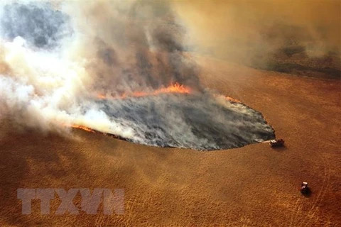 Khói lửa bốc lên từ đám cháy rừng tại Victoria, Australia. (Nguồn: THX/TTXVN)