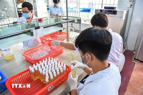 Giảng viên, sinh viên Khoa Dược, Trường đại học Lạc Hồng tiến hành pha chế nước rửa tay sát khuẩn phòng dịch nCoV. (Ảnh: Lê Xuân/TTXVN)