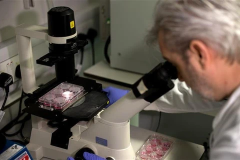 Nhà khoa học Anh Paul McKay nghiên cứu DNA của chuỗi virus corona chủng mới tại phòng thí nghiệm của Đại học Y khoa Hoàng gia London ngày 10/2/2020. (Ảnh: AFP/TTXVN)