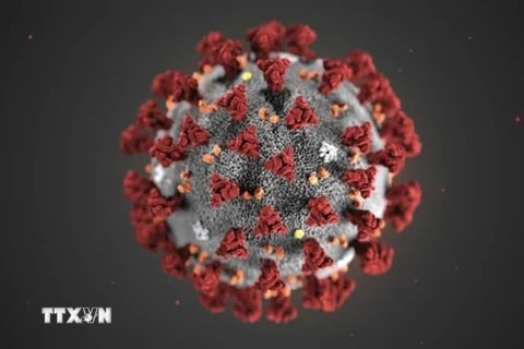 Hình ảnh chủng mới của virus corona. (Ảnh: TTXVN phát)