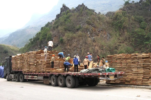 Ván bóc xuất khẩu sang Trung Quốc tại Cửa khẩu Quốc tế Thanh Thủy (Hà Giang). (Ảnh: Minh Tâm/TTXVN)