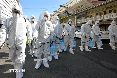 Phun thuốc khử trùng tại một khu chợ ở thành phố Daegu, Hàn Quốc ngày 23/2/2020. (Ảnh: THX/TTXVN)
