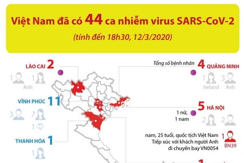 [Infographics] Toàn cảnh 44 ca nhiễm virus SARS-CoV-2 tại Việt Nam