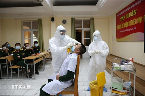Tập huấn lấy mẫu bệnh phẩm từ mũi của người nghi nhiễm để xét nghiệm SARS-CoV-2. (Ảnh: Dương Giang/TTXVN)