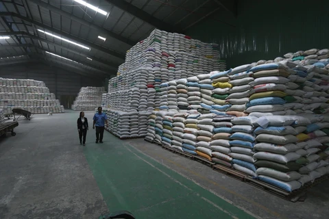 Sản phẩm gạo xuất khẩu được tạm trữ tại kho của công ty Lương thực Sông Hậu (Sông Hậu Food) thành phố Cần Thơ. (Ảnh: Vũ Sinh/TTXVN)
