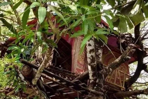 Người đàn ông tự làm một ngôi nhà trên cây để tự cách ly (Nguồn: bangkokpost.com)