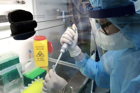 Bác sỹ Bệnh viện Ung bướu Nghệ An tiến hành xét nghiệm virus SARS–CoV-2 bằng kỹ thuật Realtime PCR. (Ảnh: Tá Chuyên/TTXVN)