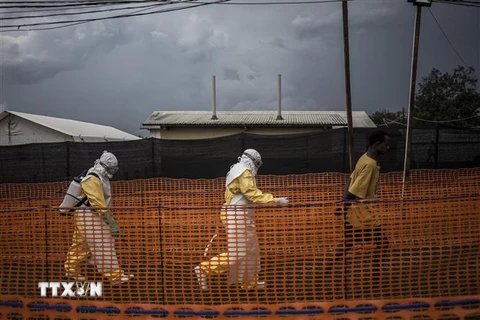 Nhân viên y tế đưa bệnh nhân nhiễm Ebola tới khu điều trị ở Butembo, CHDC Congo, ngày 7/11/2018. (Ảnh: AFP/TTXVN)